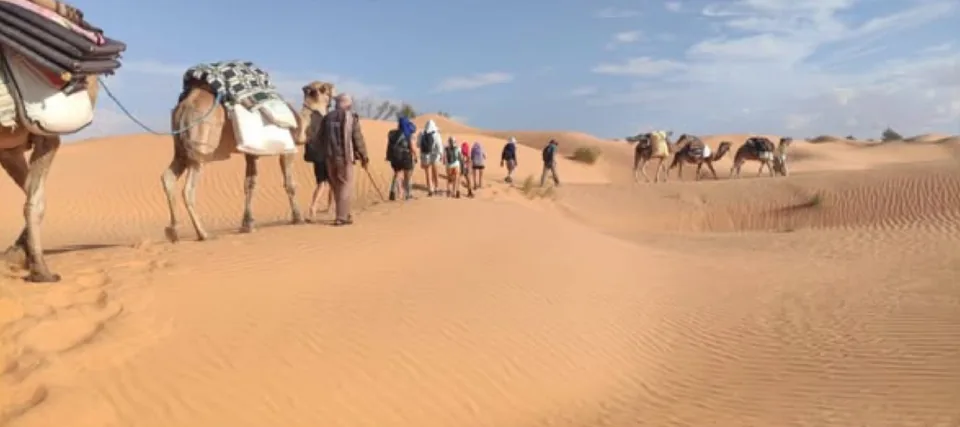 Camel ride in Douz