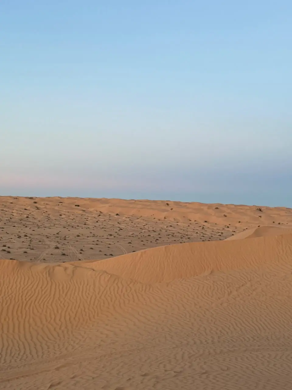 Tunisia Sahara tours from Douz with a local guide
